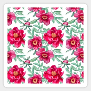 Peonies on white pattern Sticker